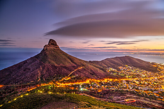 Cape Town lionshead