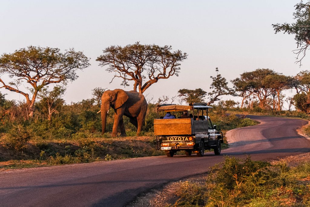 Hluhluwe Game Reserve